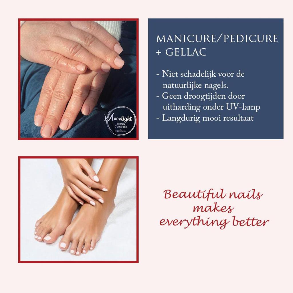 Moonlight Beauty Company